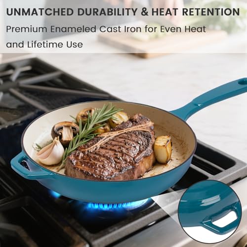 Enameled Cast Iron Skillet