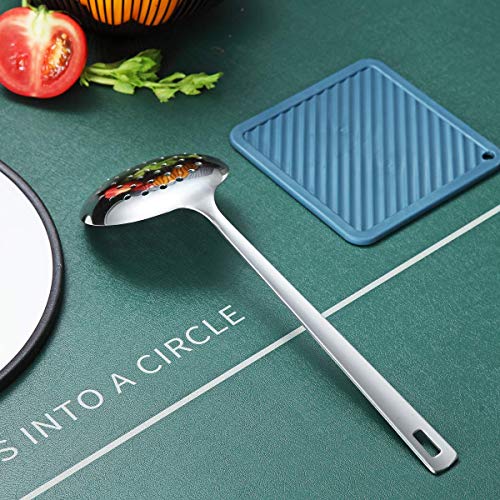 Stainless Steel Skimmer