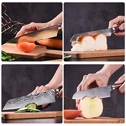Professional Kitchen Knife Set (5 Count)