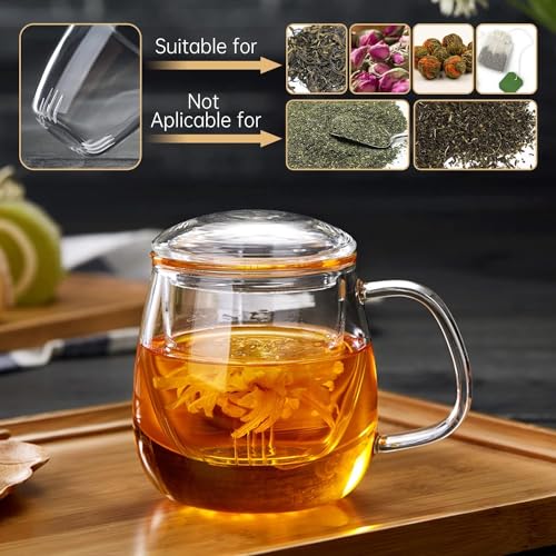 Glass Teacups 2 Pack Glass Tea Cup with Infuser and Lid (2 Count)