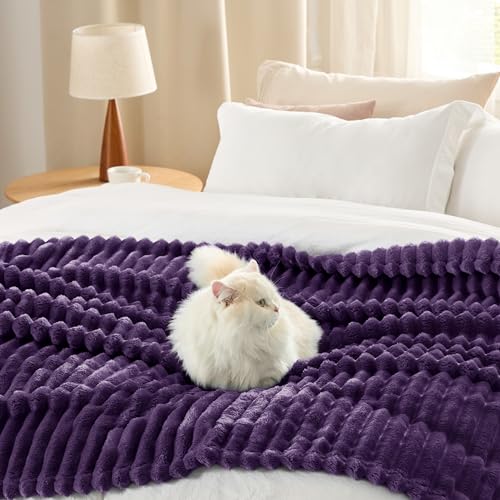 Soft Twin XL Blanket for Bed Dorm Purple 66"x90"