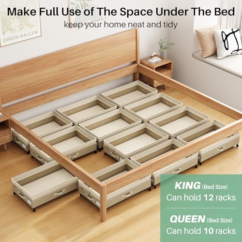 4 Pack Height (4 Count)