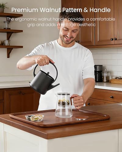 Magnetic Glass Infuser Teapot for Loose Tea