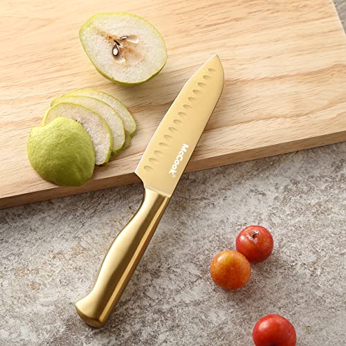 Kitchen Knife Sets (20 Count)