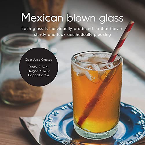 Clear Blown 9 oz Juice Glasses (6 Count)