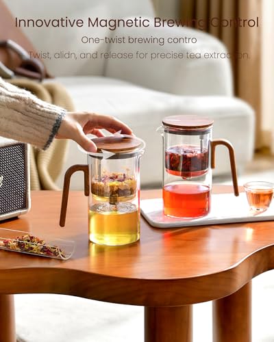 Magnetic Glass Infuser Teapot for Loose Tea