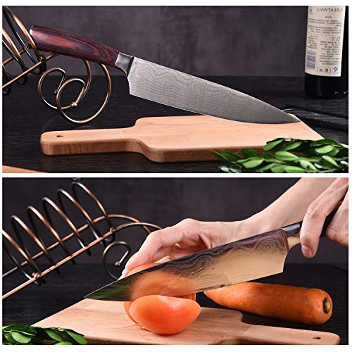 Professional Kitchen Knife Set (5 Count)