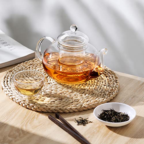 Glass Teapot Stovetop Safe