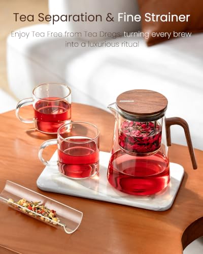 Magnetic Glass Teapot with Infuser and 2 Cups for Loose Tea