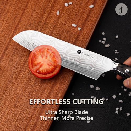 4 Pieces Professional Kitchen Knife Set (4 Count)