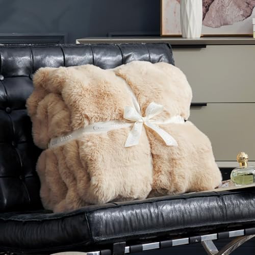 Faux Fur Throw Blanket for Couch