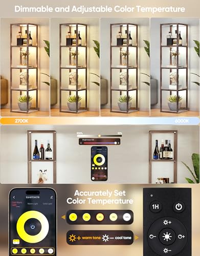 Floor Lamp Glass Display Shelf with Remote