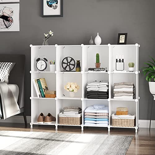 12 Cube Storage Organizer