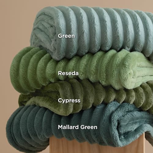 Soft Twin Blanket for Bed Decor Gifts Sage Green 60"x80"