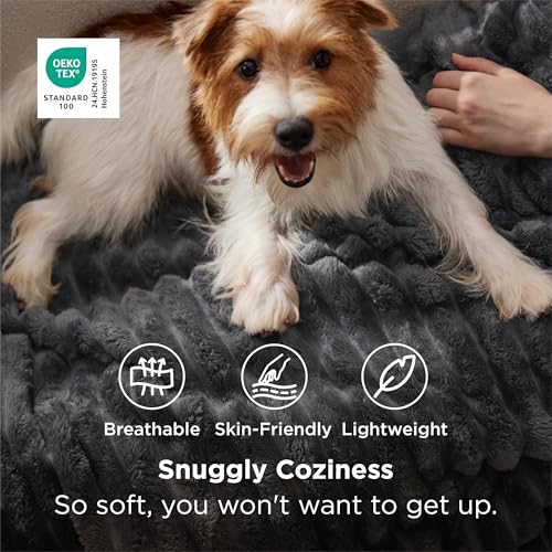 Soft Grey Throw Blanket for Couch Decor Gifts 50"x60"