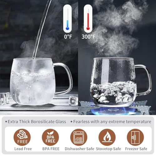 Glass Teacups 2 Pack Glass Tea Cup with Infuser and Lid (2 Count)