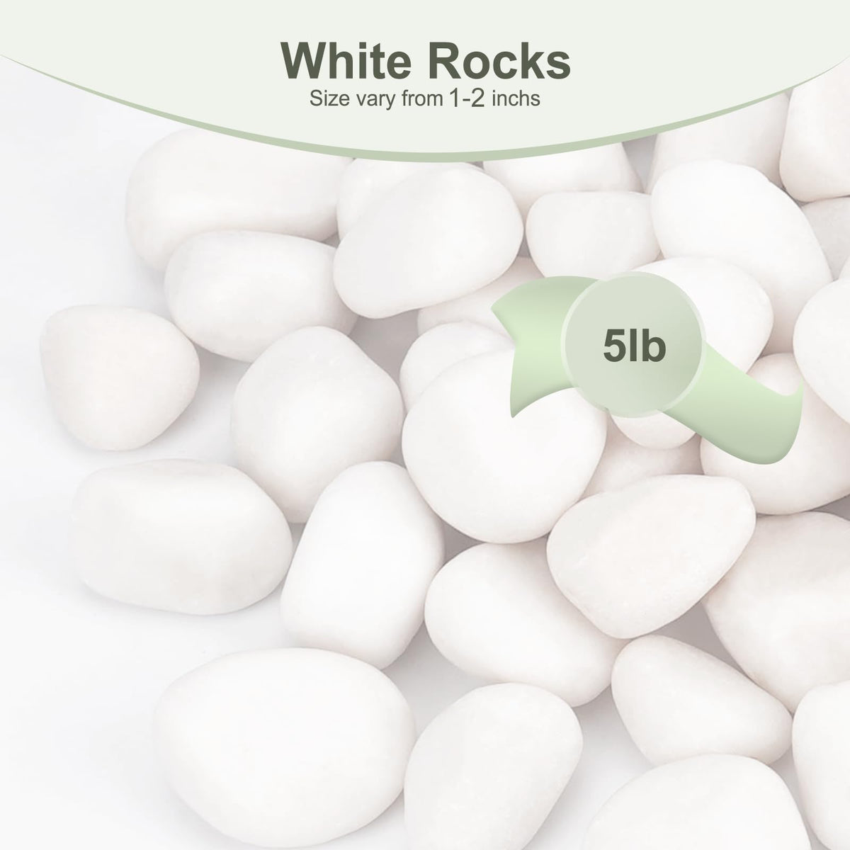 5 lbs White Rocks for Plants Indoor