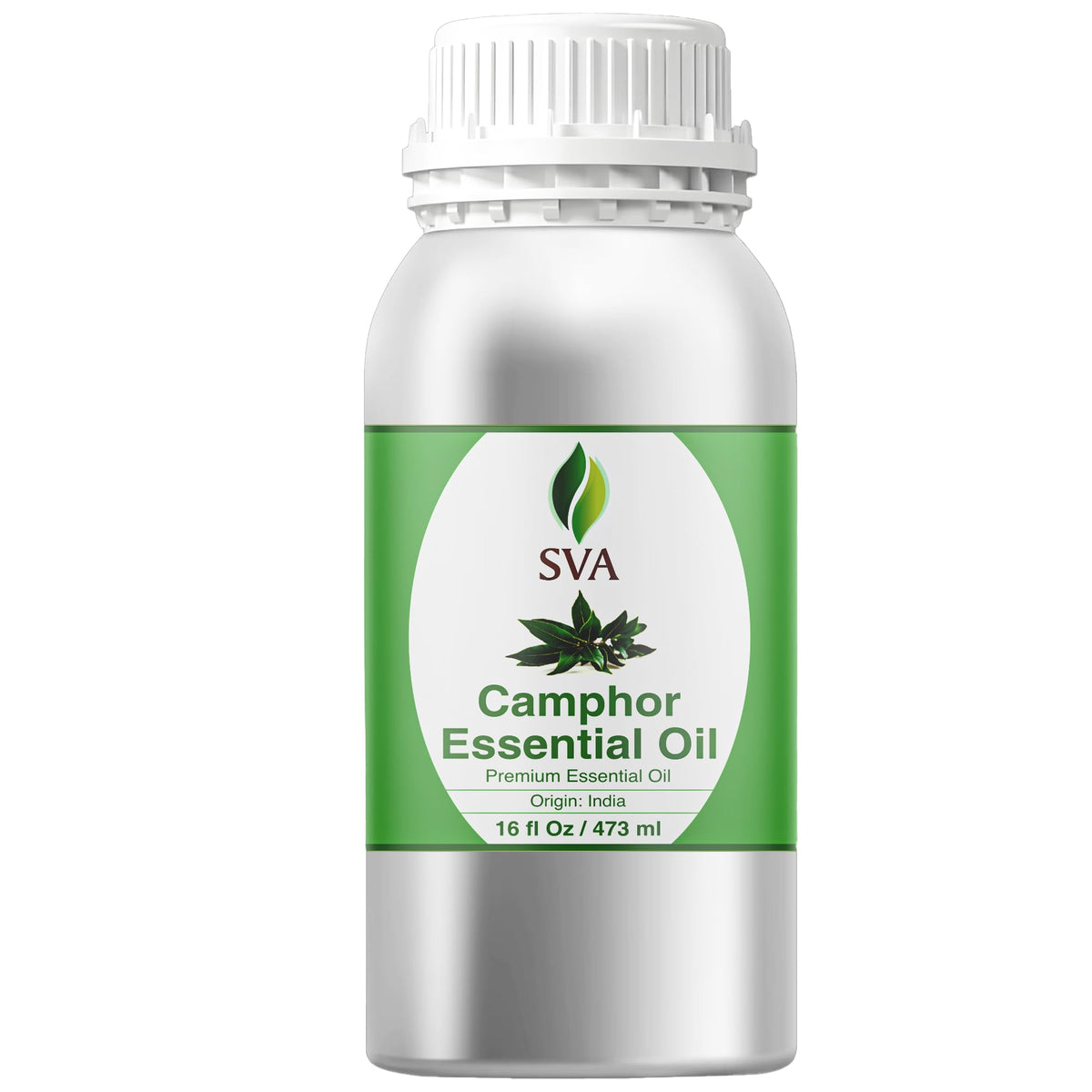 SVA Camphor Essential Oil (16 Fl Oz)