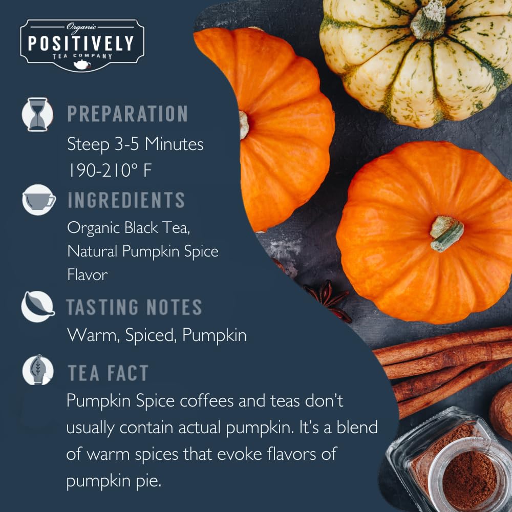 Pumpkin Spice Black Tea Bags (20 Ounce)