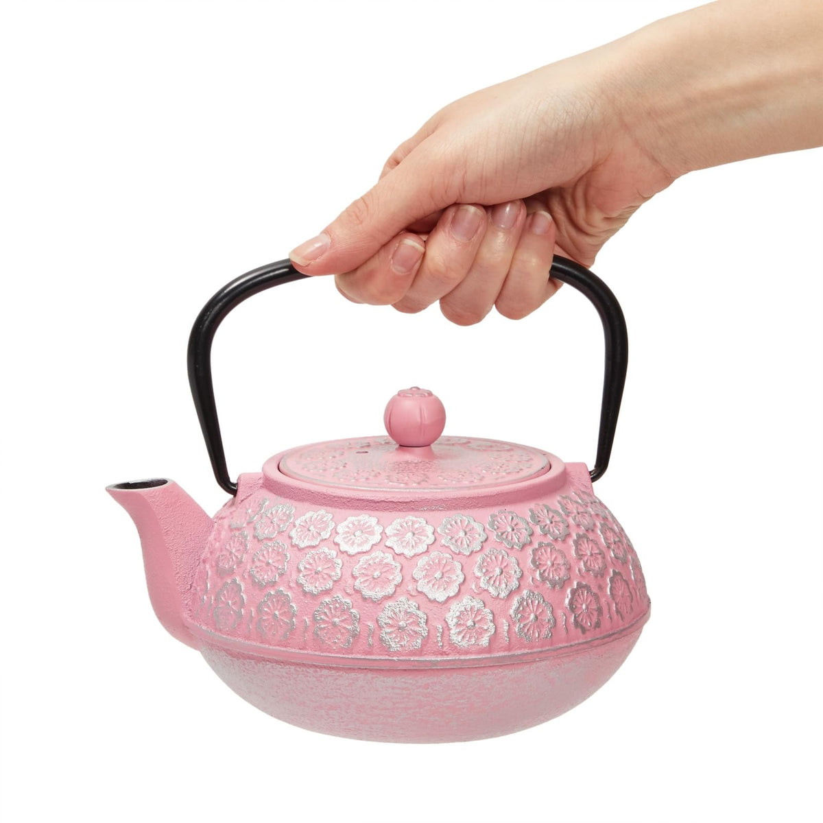 Cast Iron Tea Kettle
