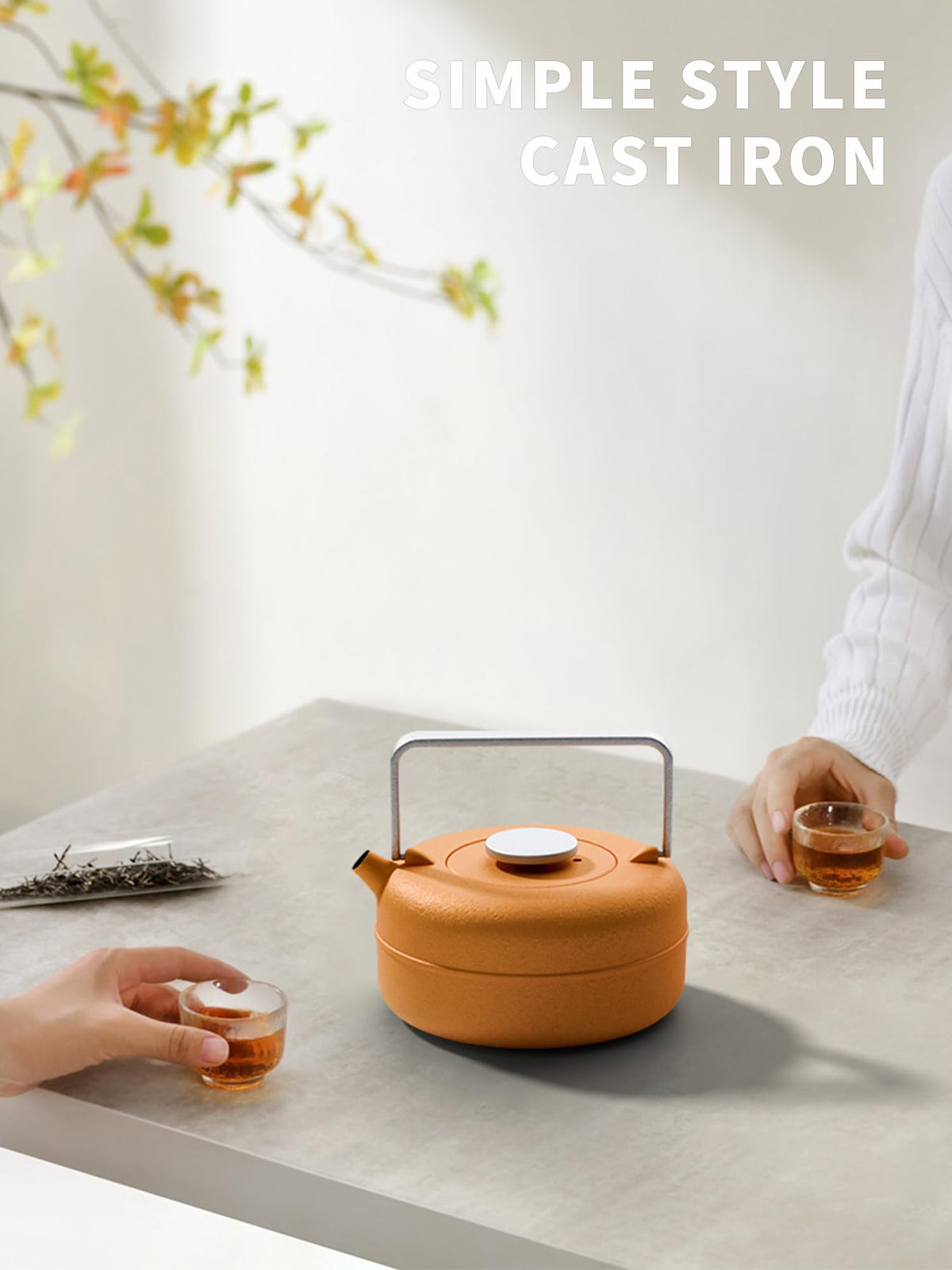Teapot with Removable Infuser