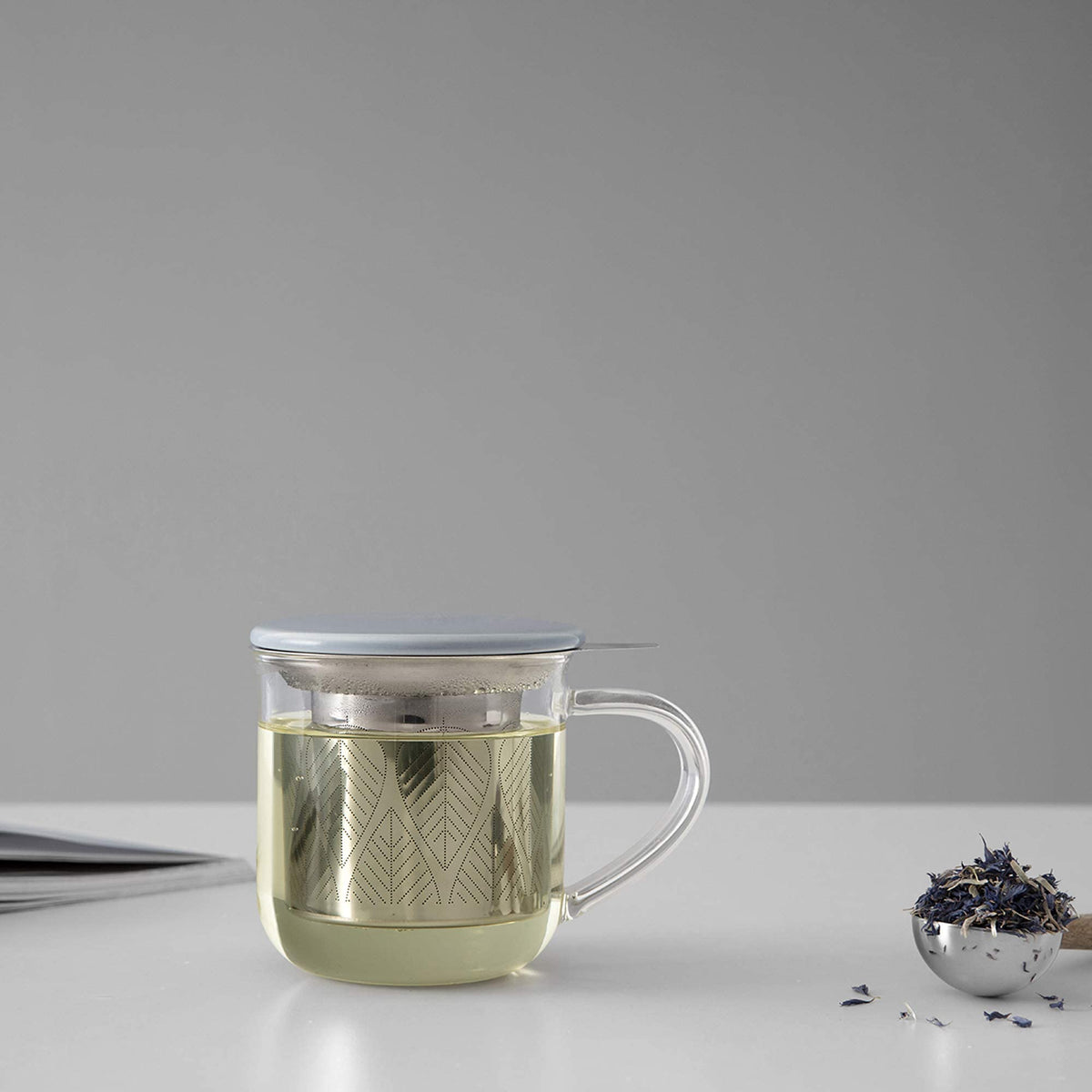 VIVA Minima Eva Glass Tea Cup with Mesh Infuser (14 Ounce)