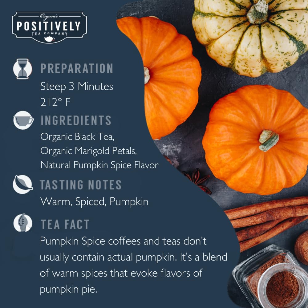 Pumpkin Spice Black Tea (16 Ounce)