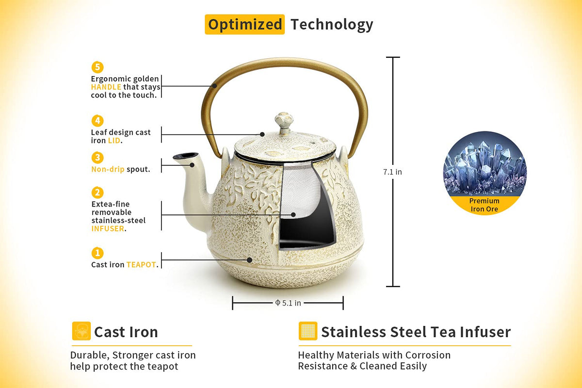 Cast Iron Tea Kettle