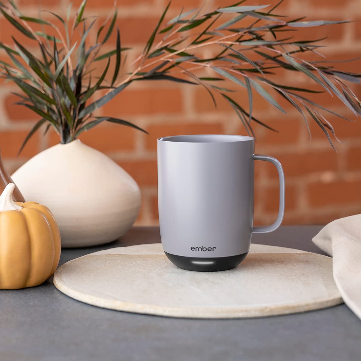 Temperature Control Smart Mug 2