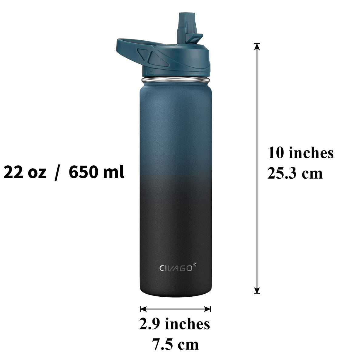 22 oz Insulated Stainless Steel Water Bottle With Straw and 3 Lids