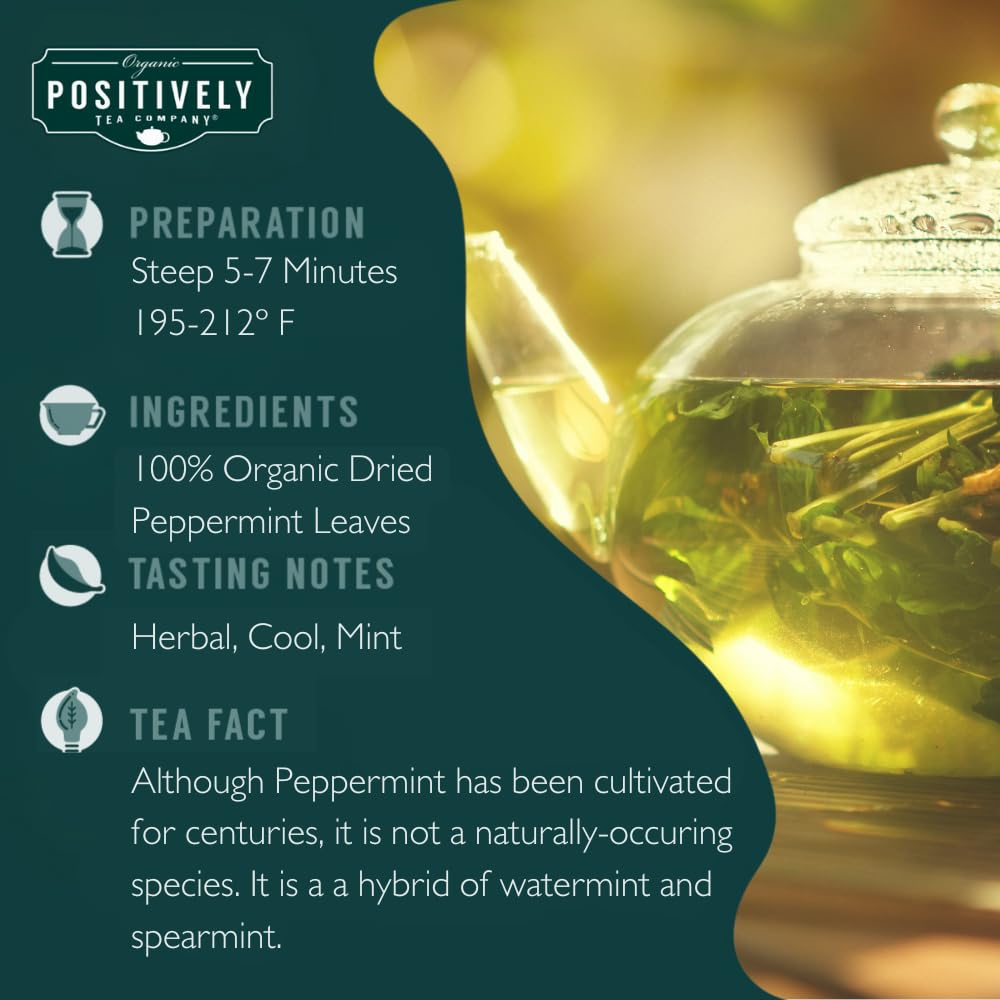 Peppermint Leaf Herbal Tea Bags (20 Ounce)
