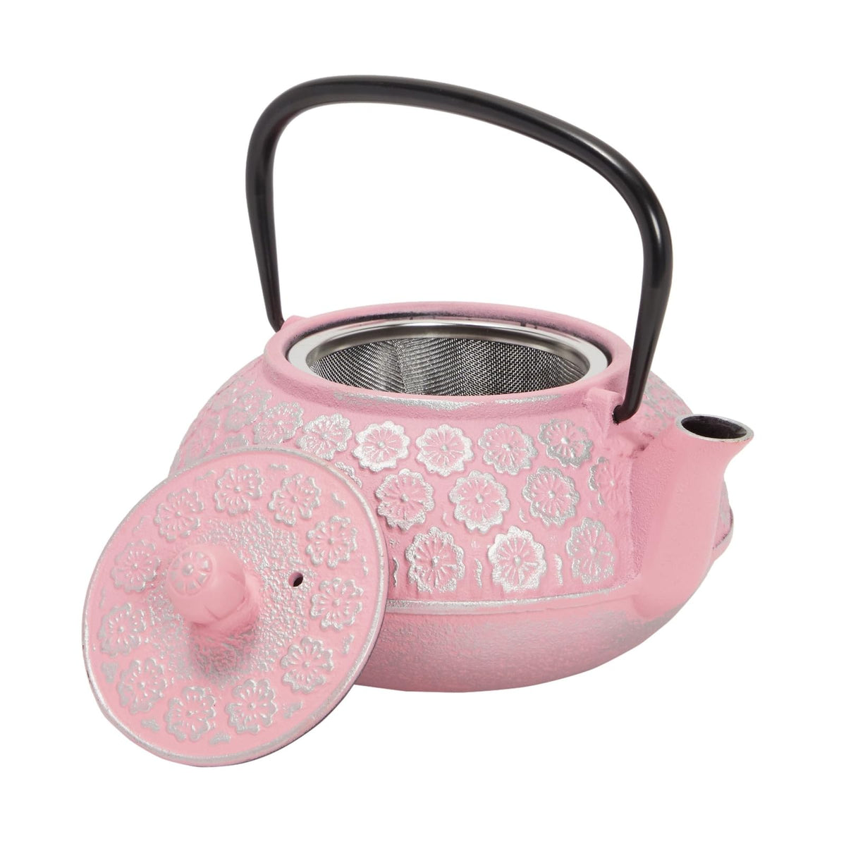 Cast Iron Tea Kettle