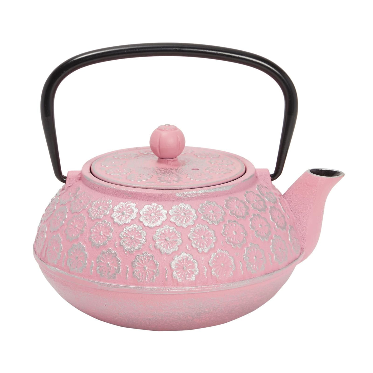 Cast Iron Tea Kettle