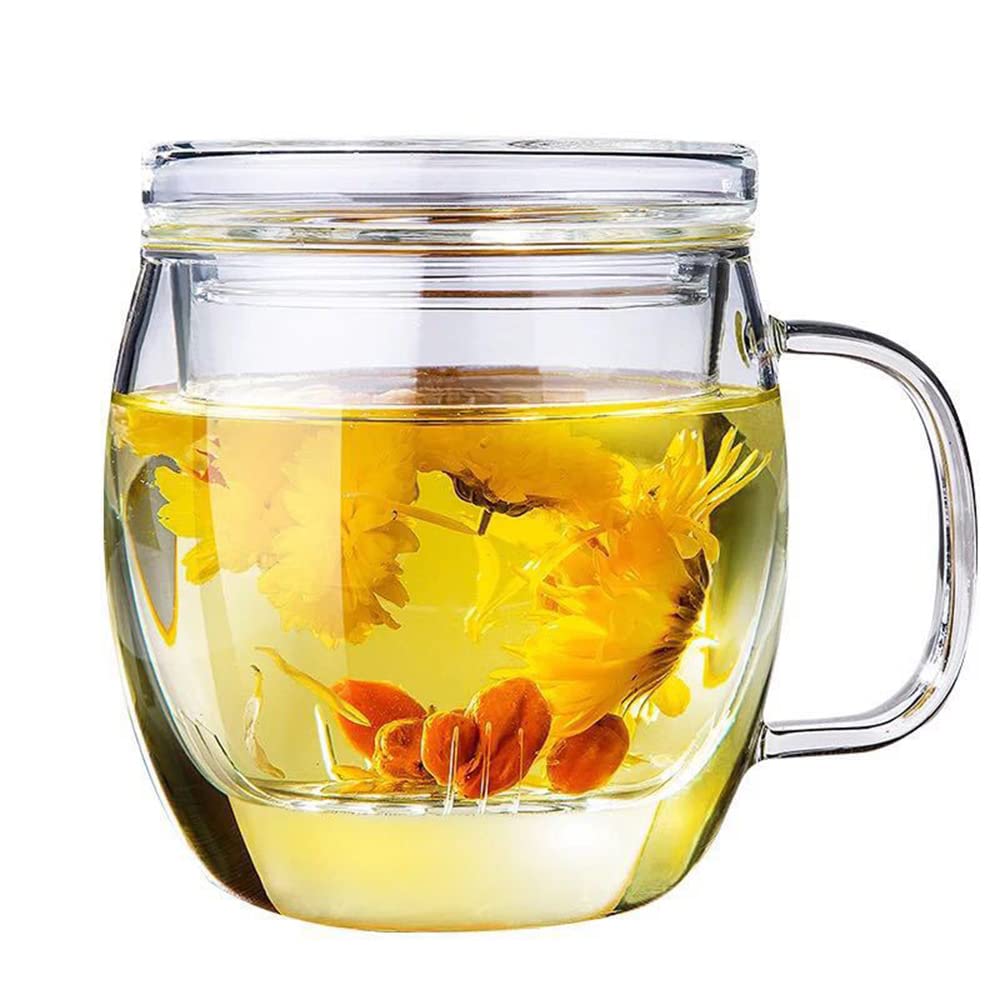Glass Tea Cup with Infuser and Lid