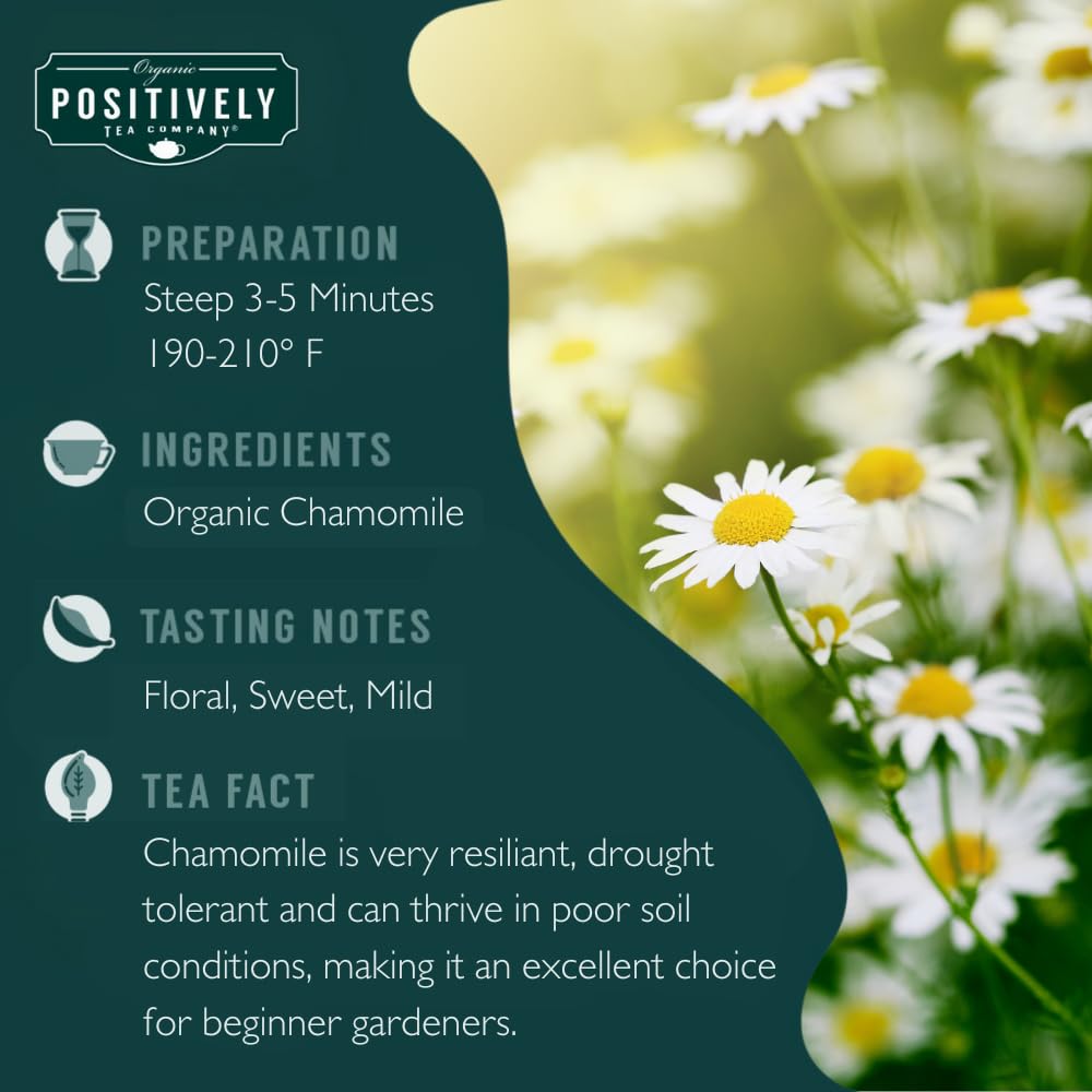 Chamomile Herbal Tea Bags (100 Count)