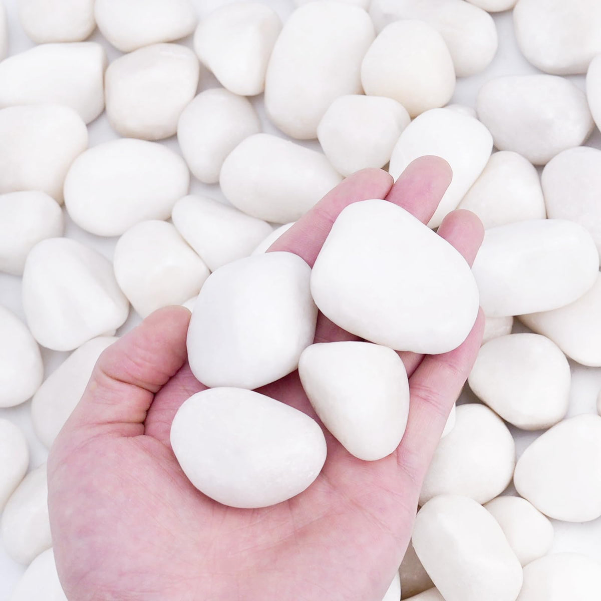 30 lbs White Rocks for Landscaping