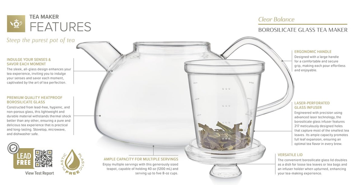 Innovative Filtered Borosilicate Glass Teapot With Microdot Whole Leaf Tea Glass Infuser