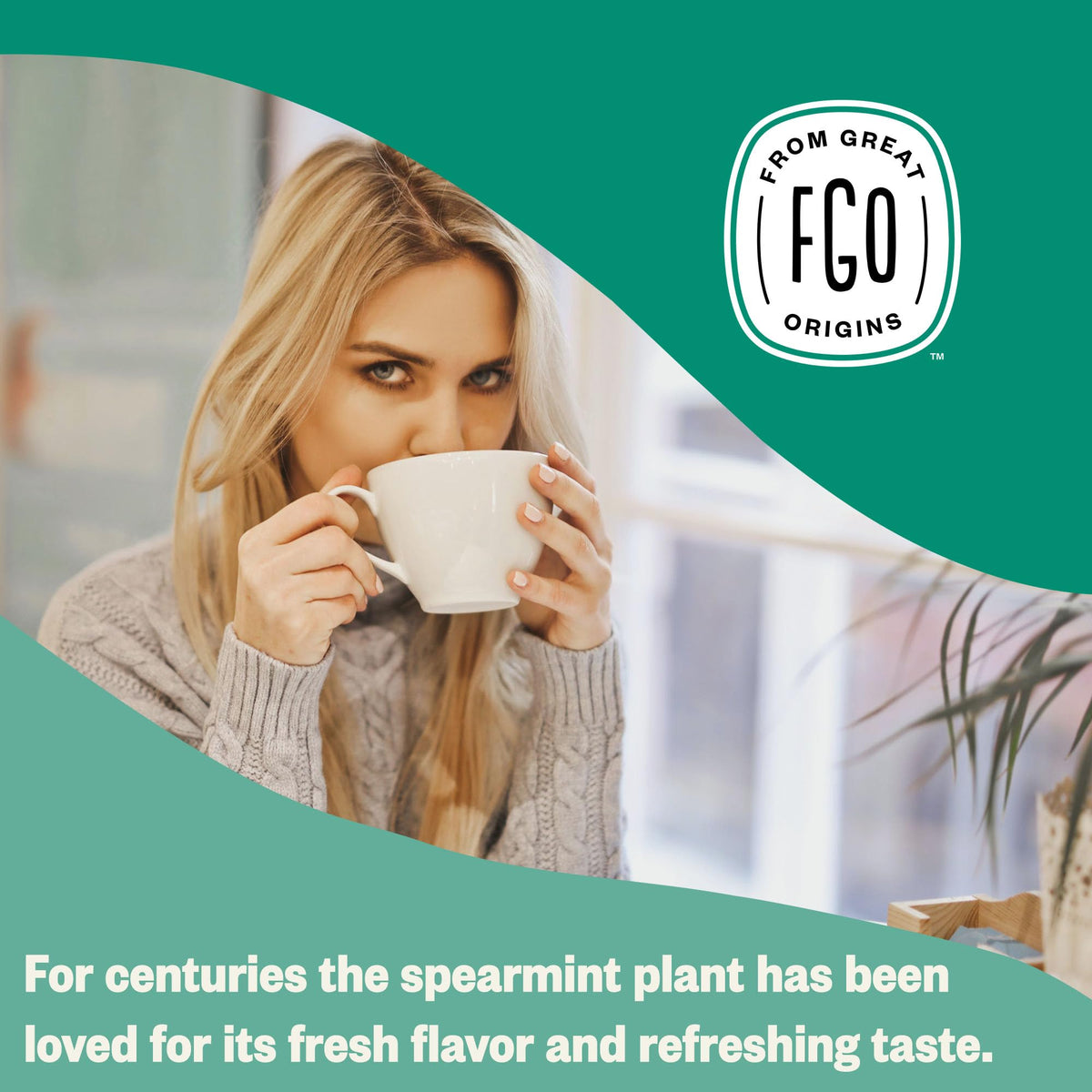 Organic Spearmint Leaf Herbal Tea (40 Count)