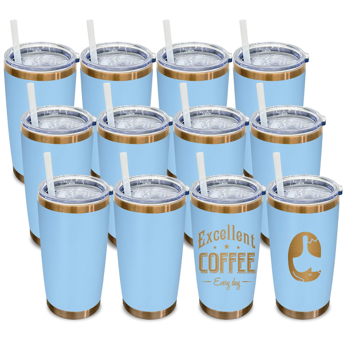 20 oz Tumbler Bulk Stainless Steel Tumblers with Lids and Straws Sky Blue (12 Count)