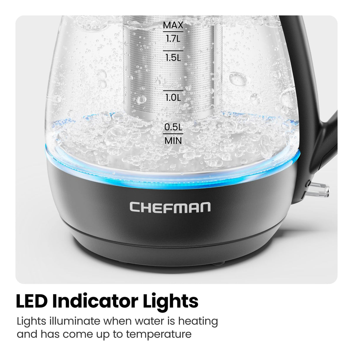 Electric Kettle with Tea Infuser