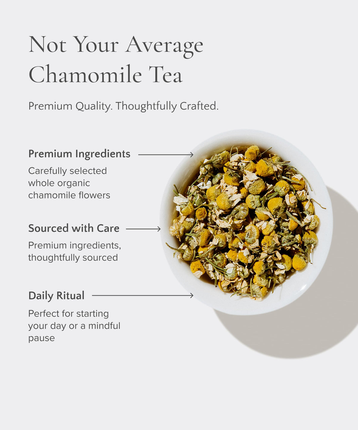 Organic Egyptian Chamomile Tea Bags 50 Count