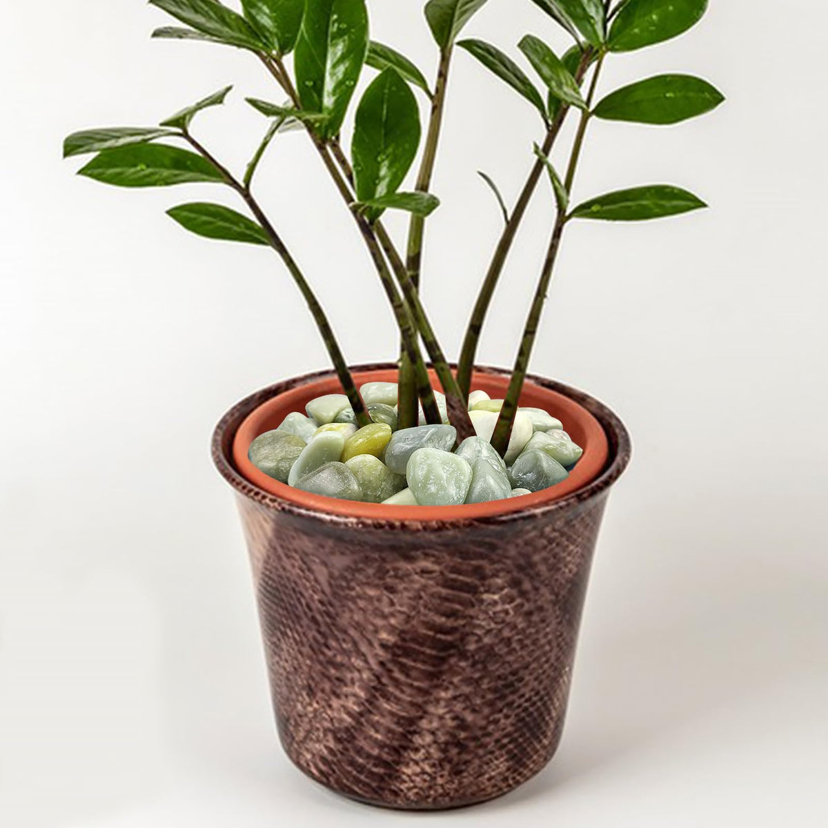 5 lbs Green River Rocks for Plants