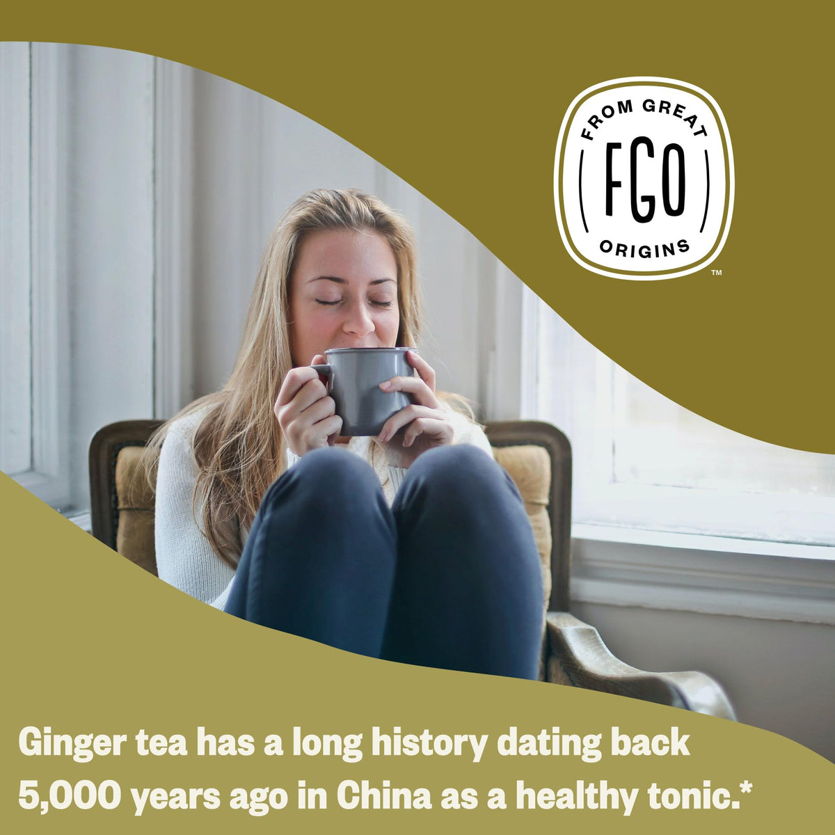 Organic Ginger Tea (20 Count)