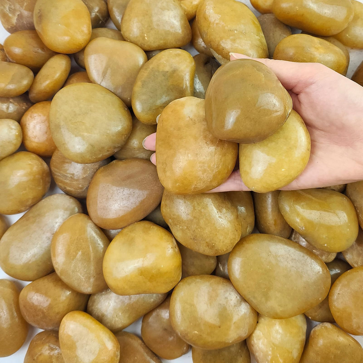 40 lbs Yellow River Rocks for Landscaping