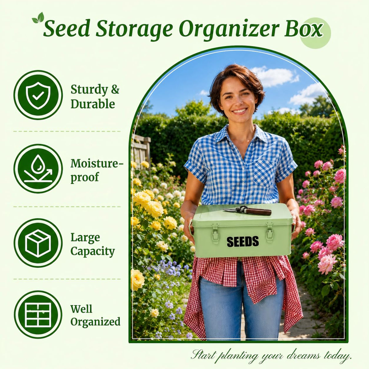 Seed Saving Box with 4 Compartments