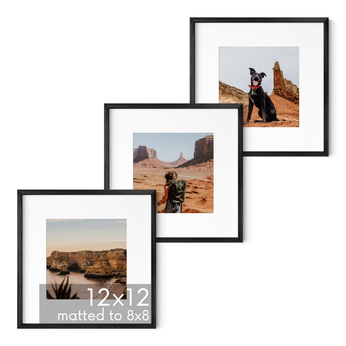 12x12 Black Metal Picture Frames Matted to 8x8