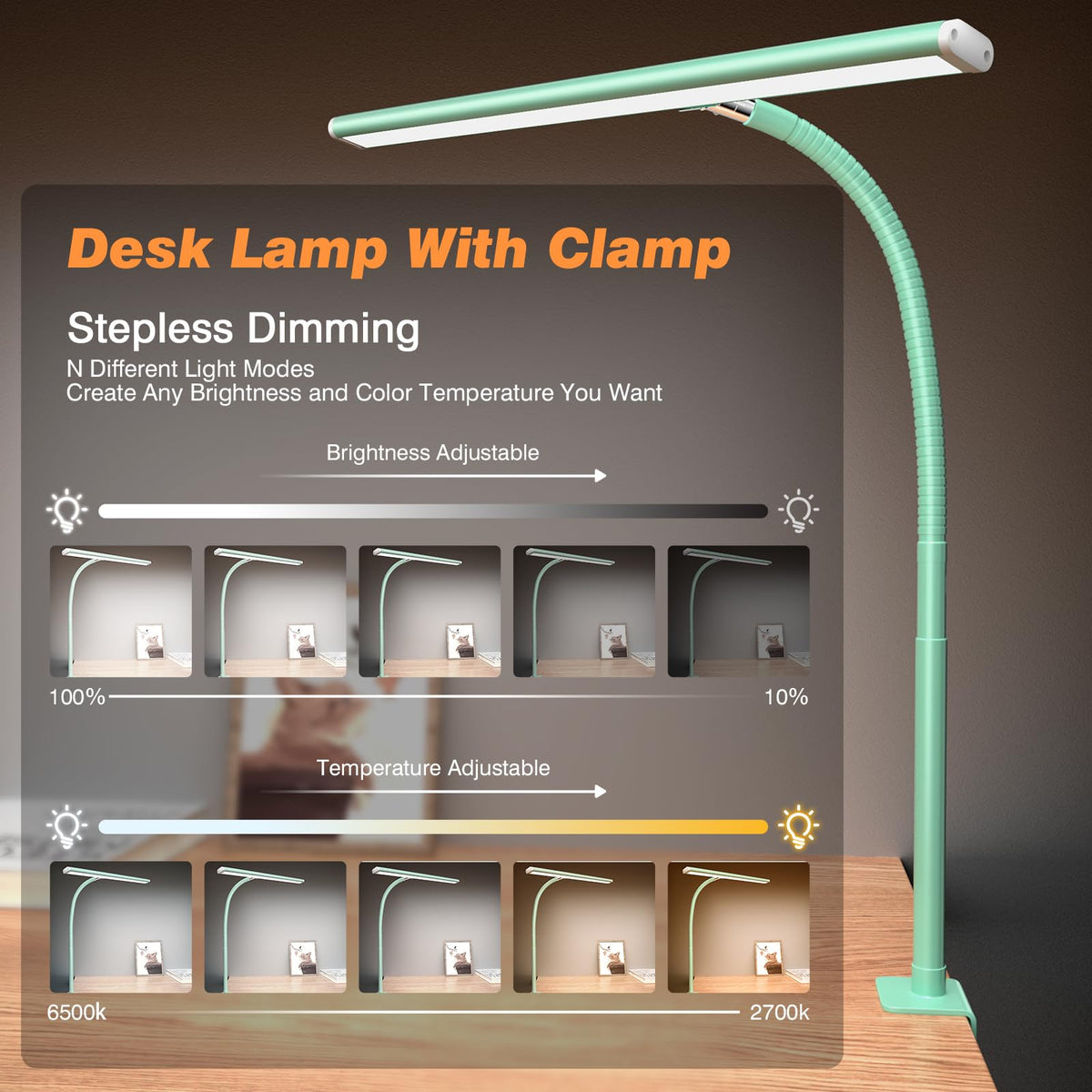LED Desk Lamp with Clamp