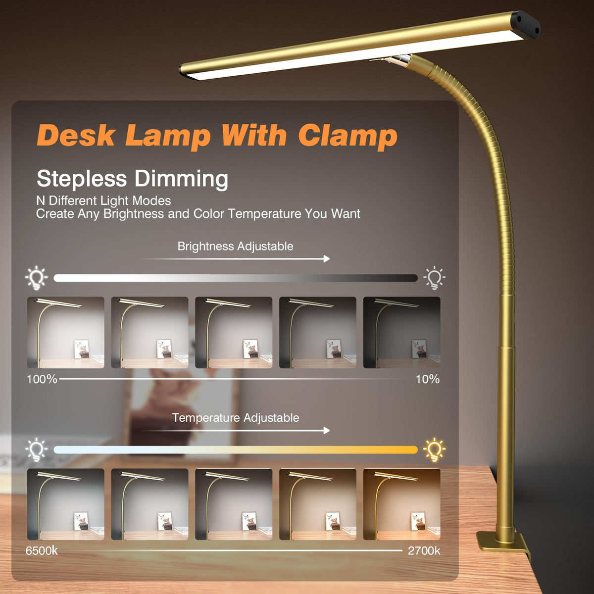 LED Desk Lamp with Clamp