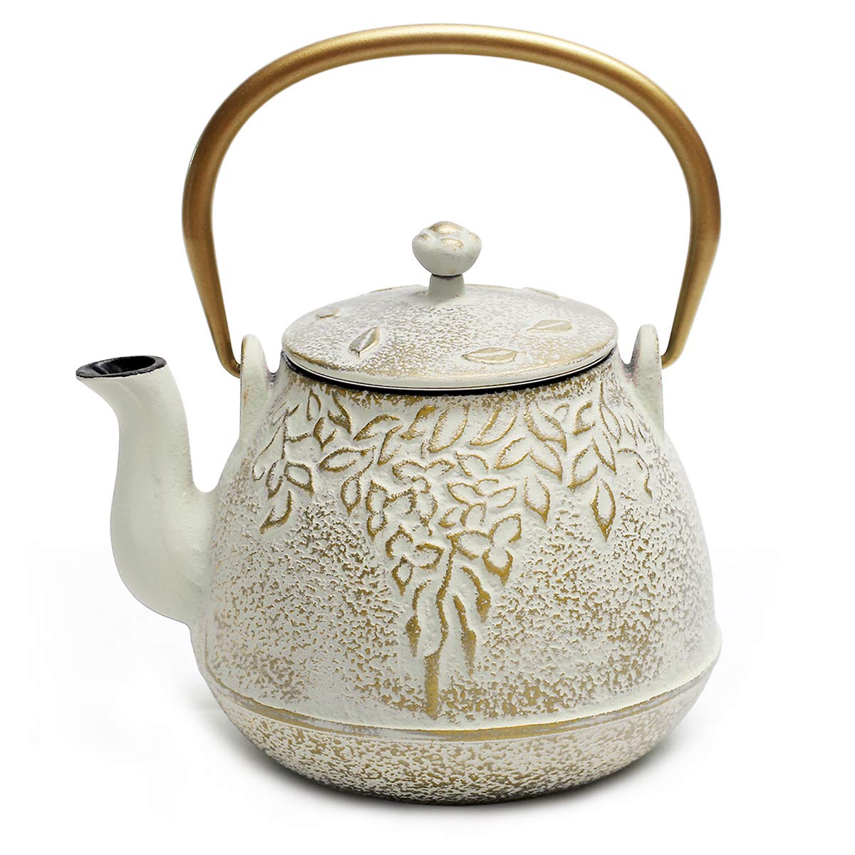 Cast Iron Tea Kettle