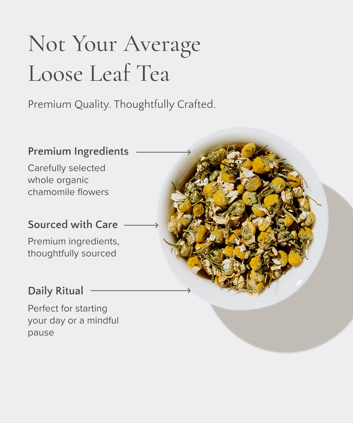 Egyptian Chamomile Tea Organic Loose Leaf Herbal Tea (4 Ounce)